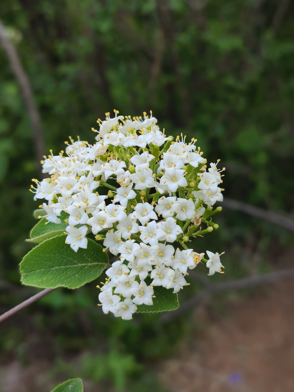 微信图片_20220424223054