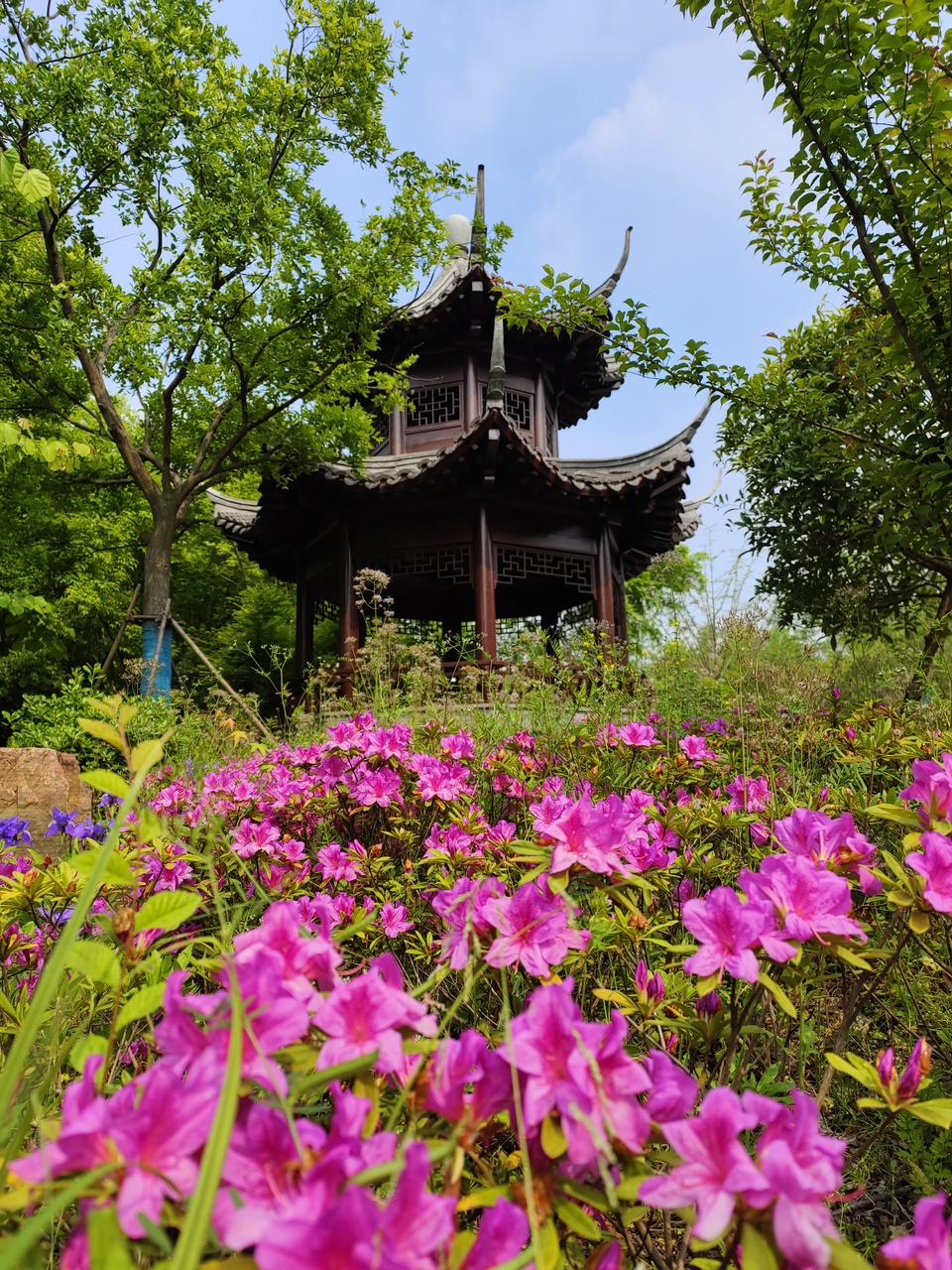 微信图片_20220424223122