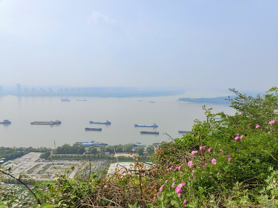 微信图片_20220424223135