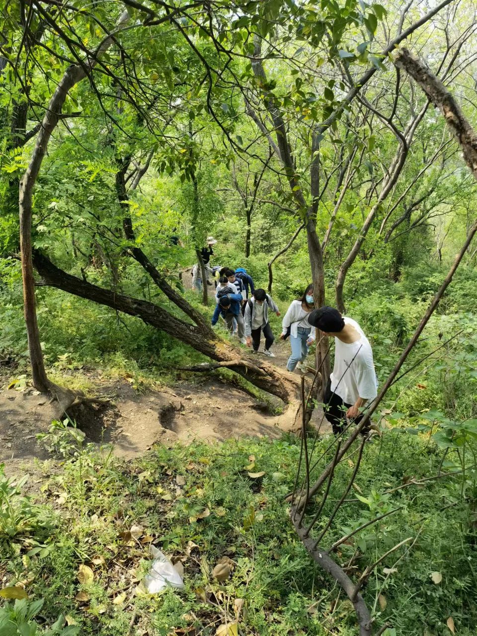 微信图片_20220424223205