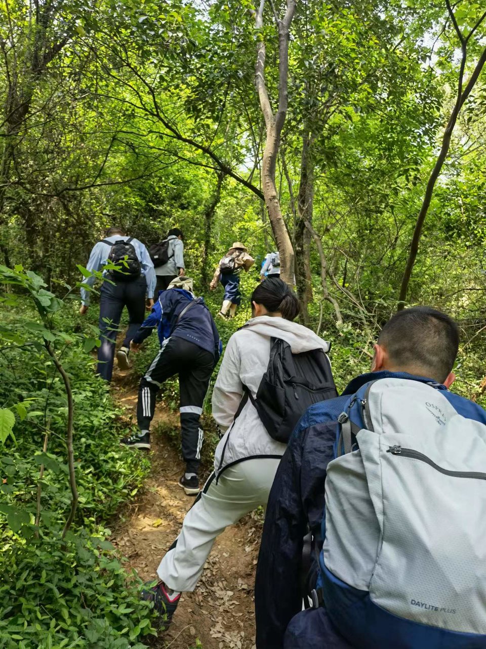 微信图片_20220424223228