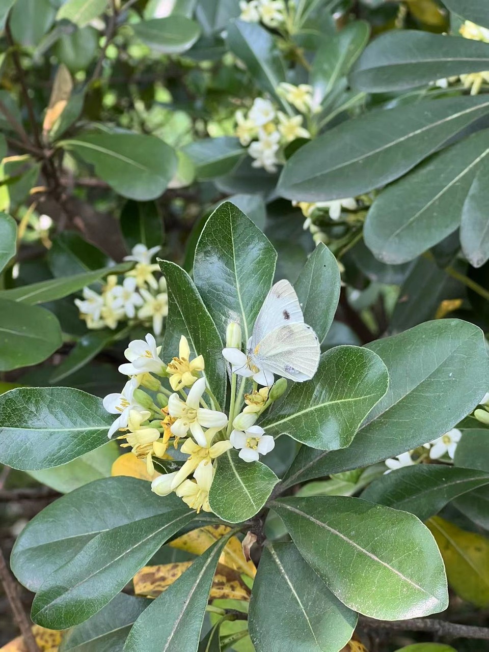 微信图片_20220424223303