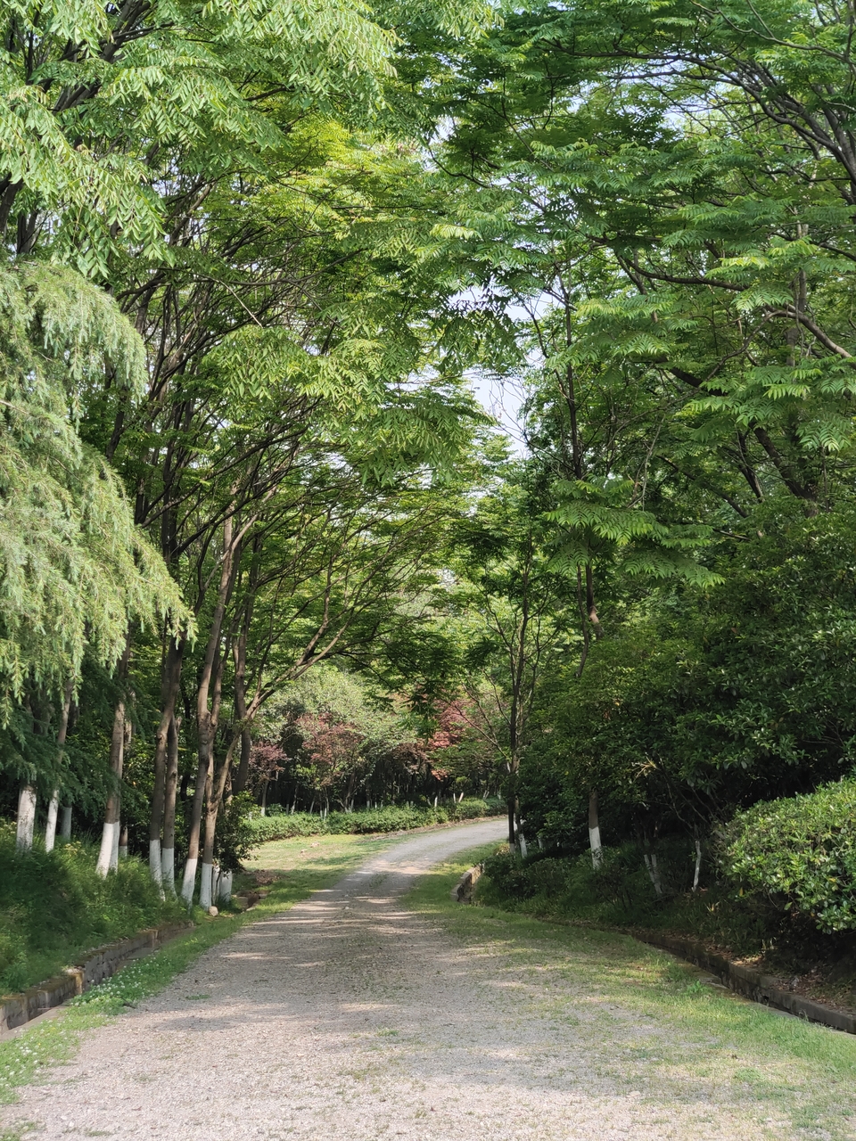 微信图片_20220424223344