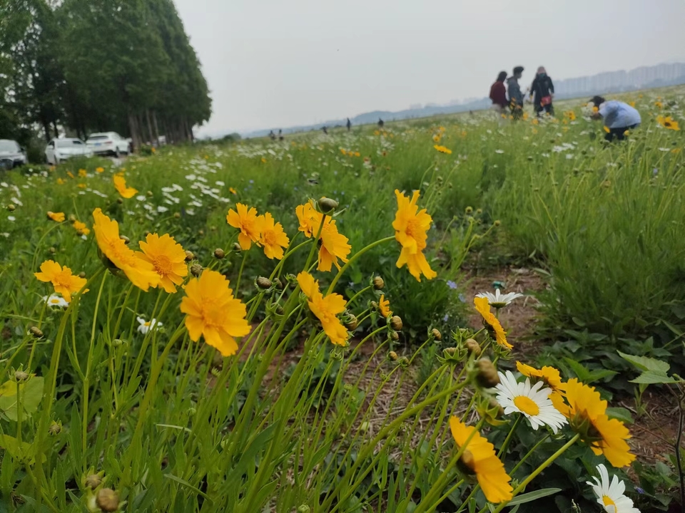 微信图片_20220503000104