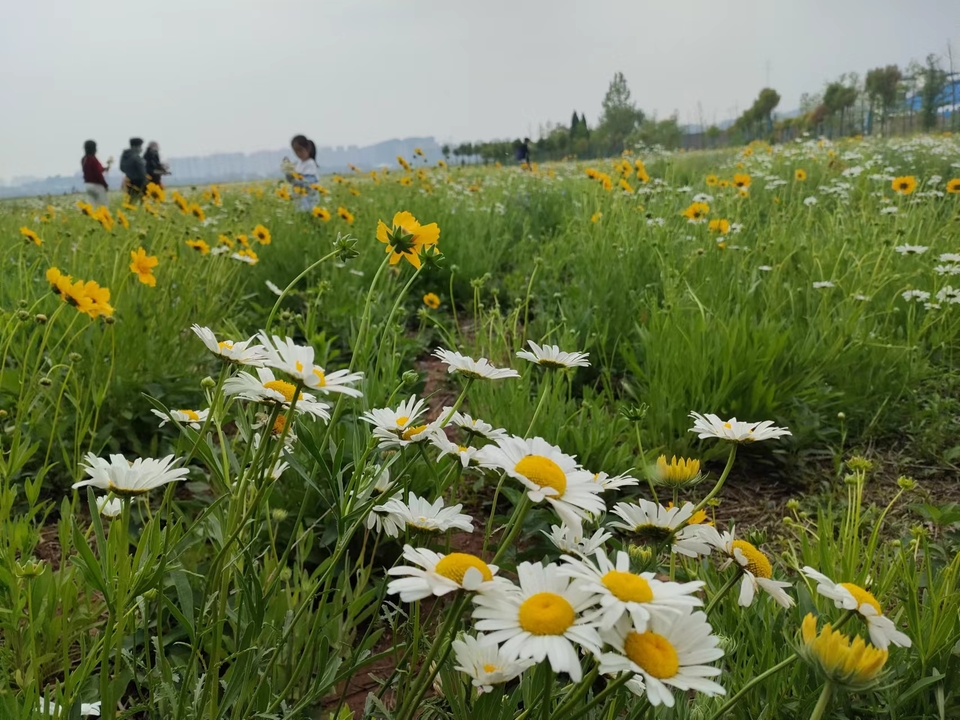 微信图片_20220503000110