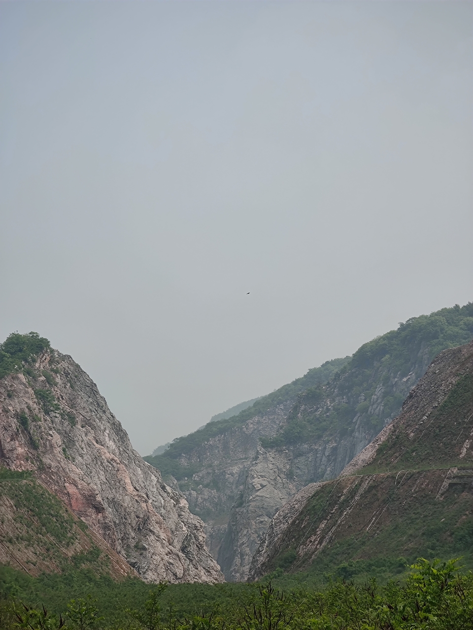 微信图片_20220504133148