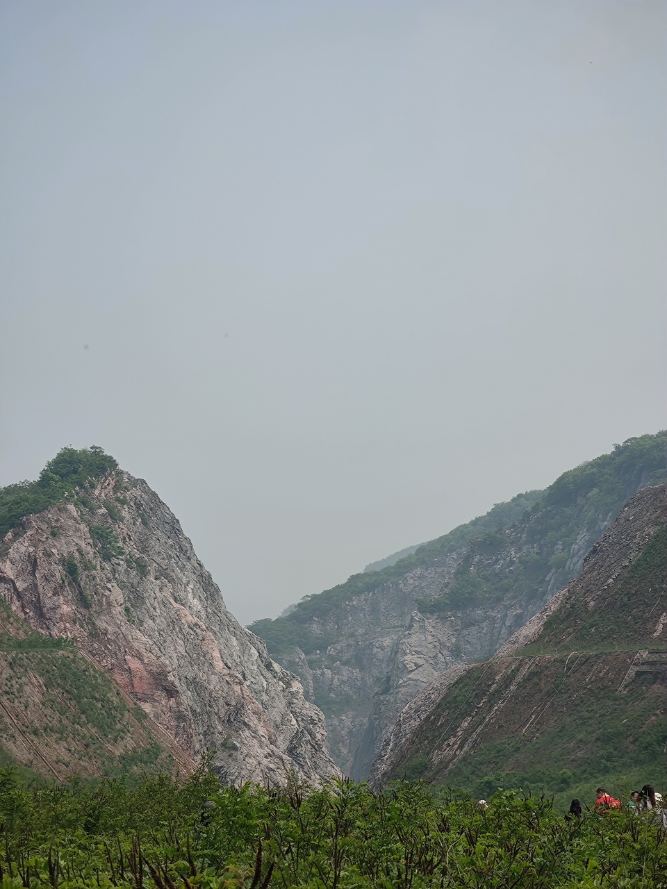 微信图片_20220504133159