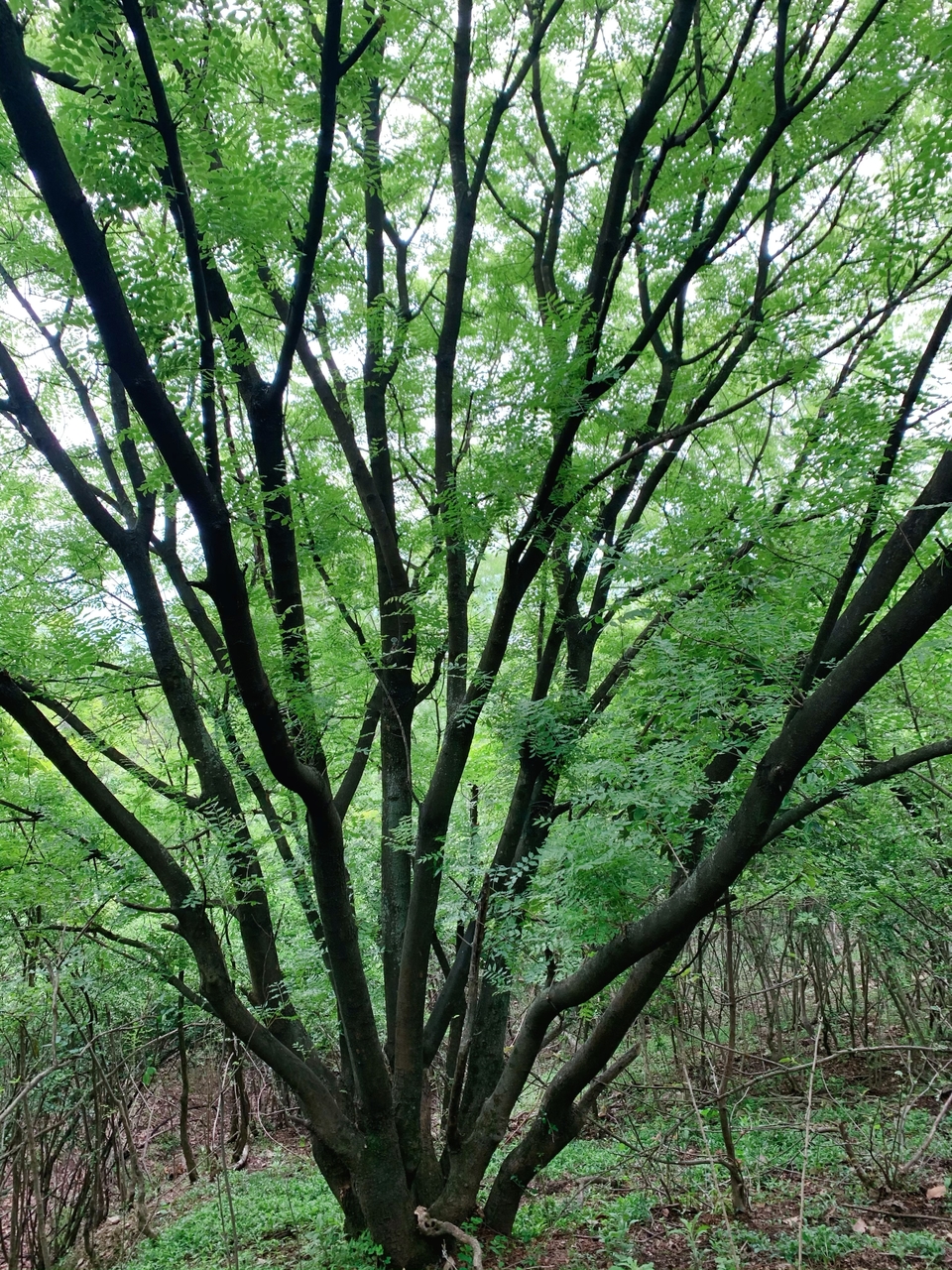 微信图片_20220504133216