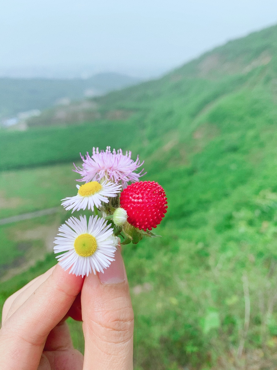 微信图片_20220504133300