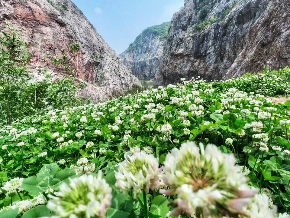 微信图片_20220504133431