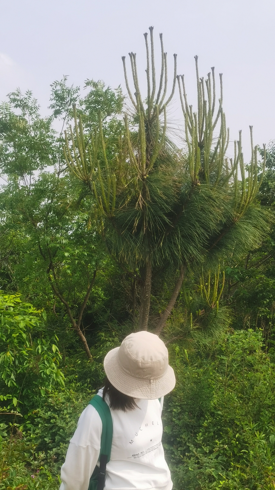 微信图片_20220504133435