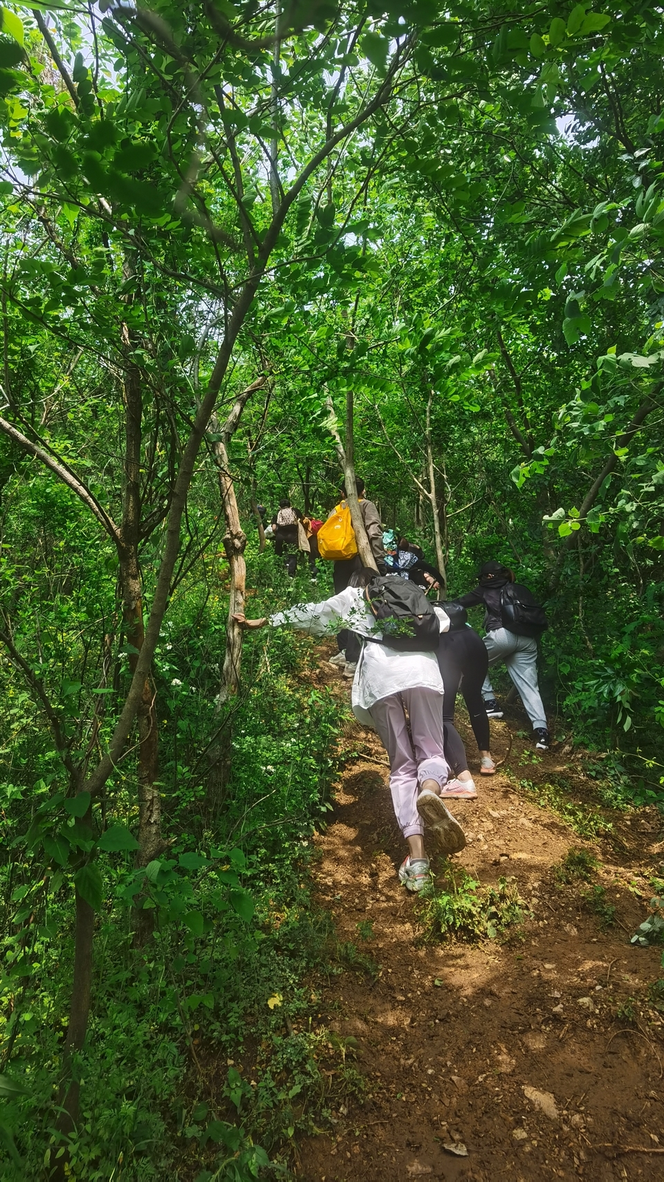 微信图片_20220504133439