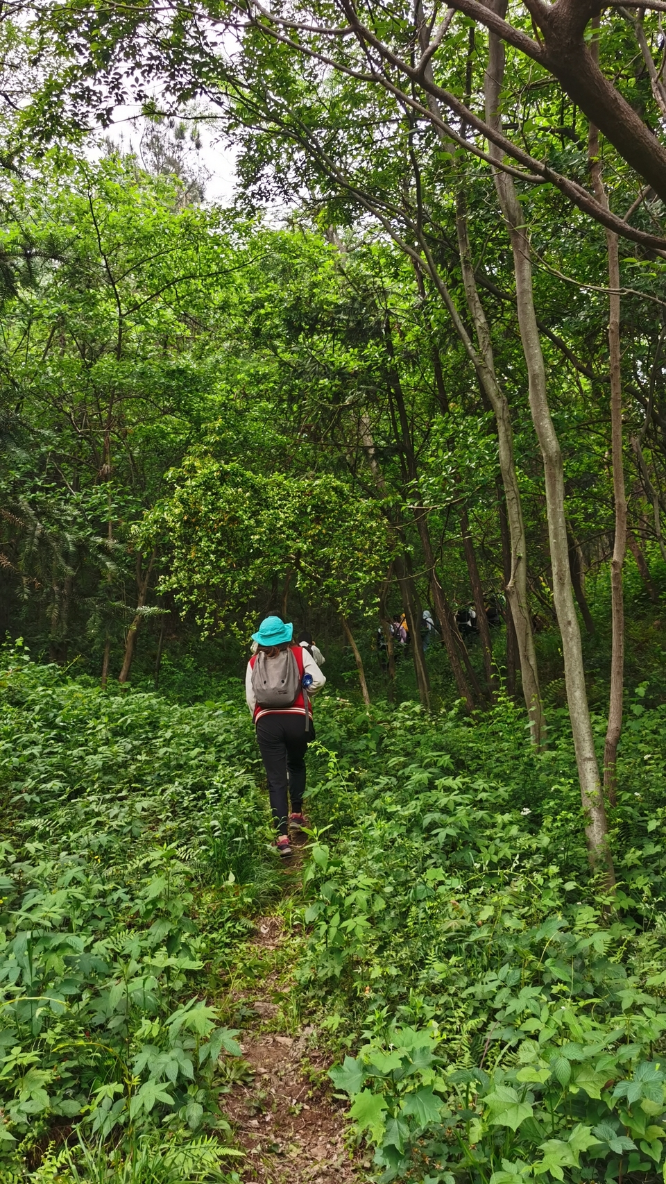 微信图片_20220504133447