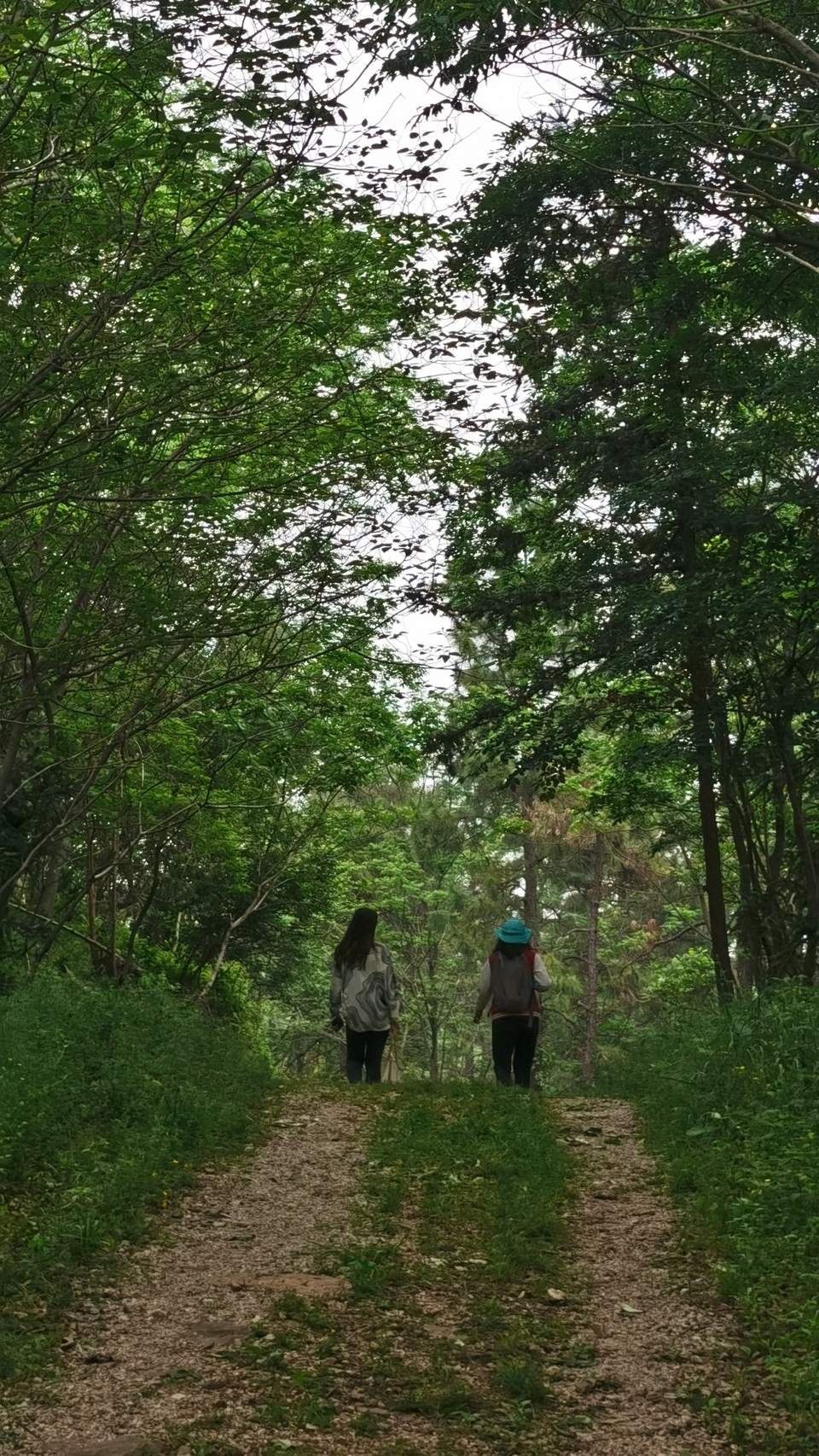 微信图片_20220504133451