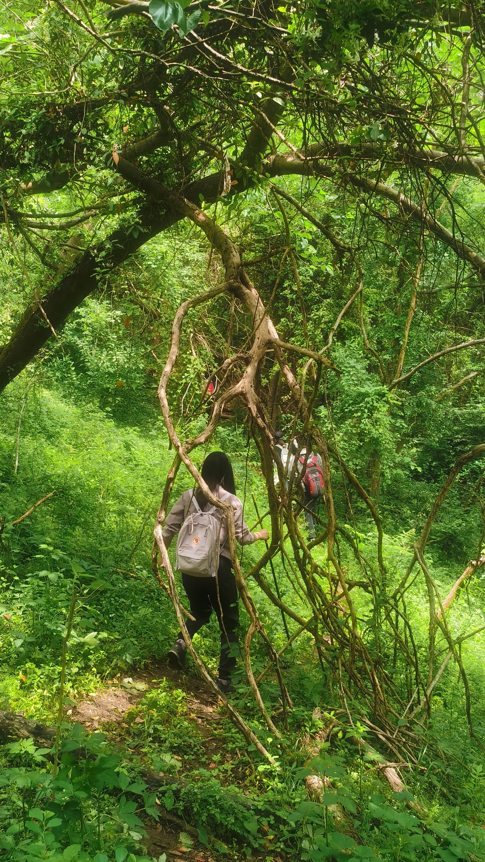 微信图片_20220504133455