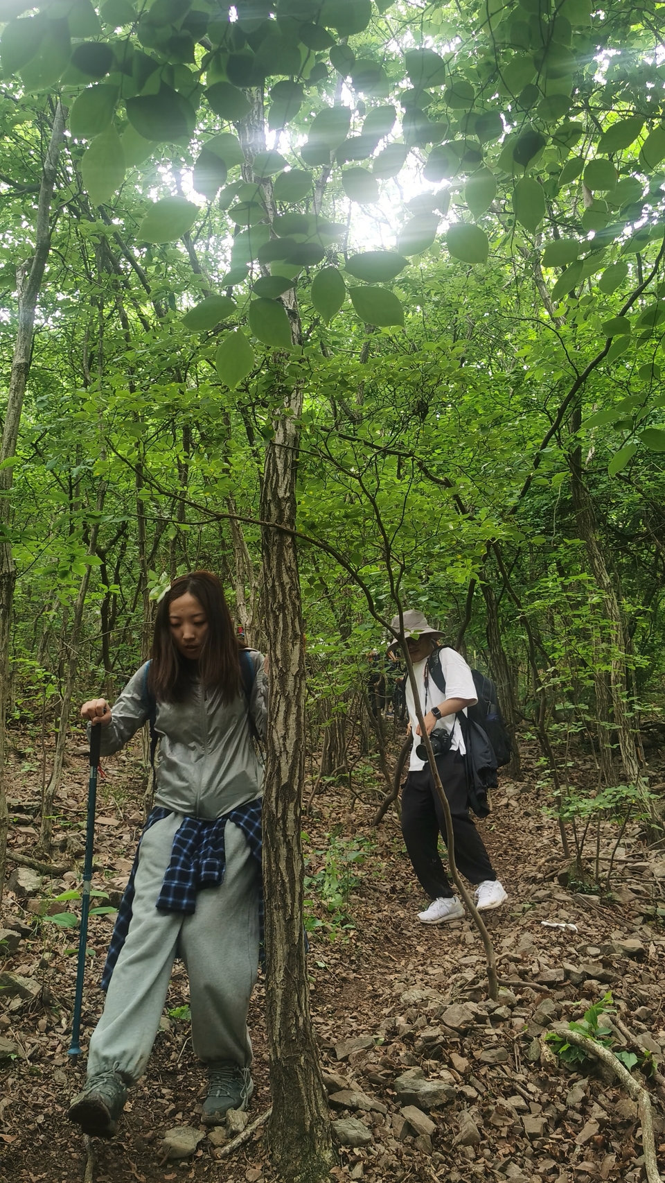 微信图片_20220504133459