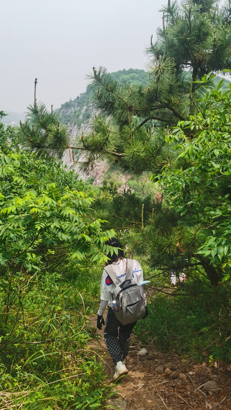 微信图片_20220504133503