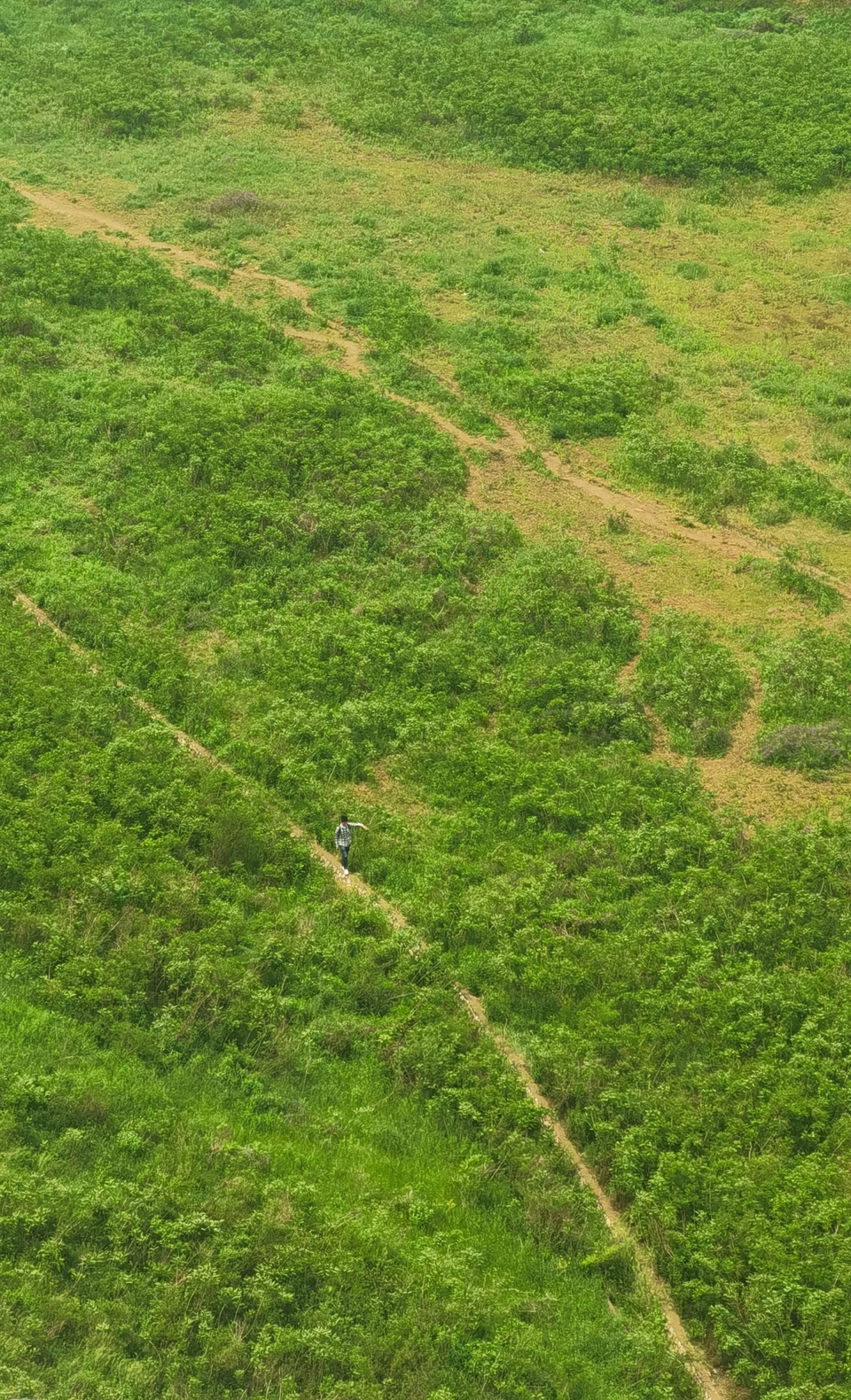 微信图片_20220504133507