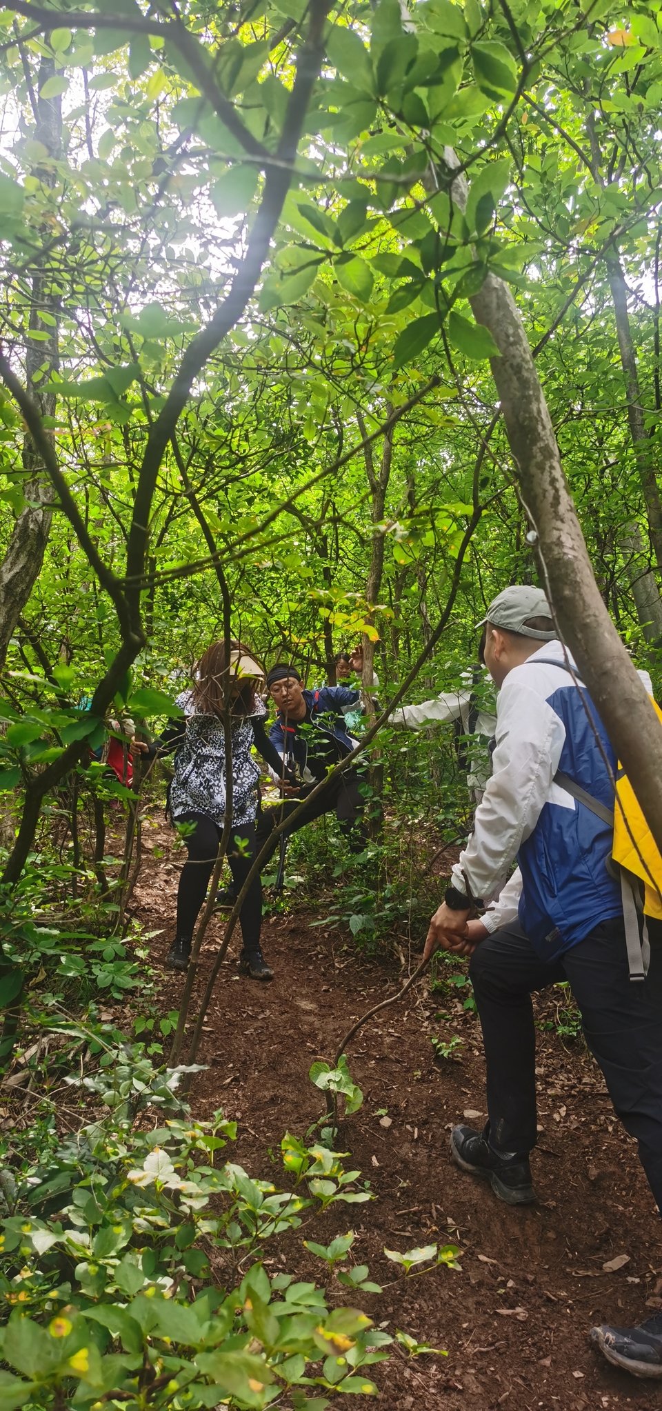 微信图片_20220504133518