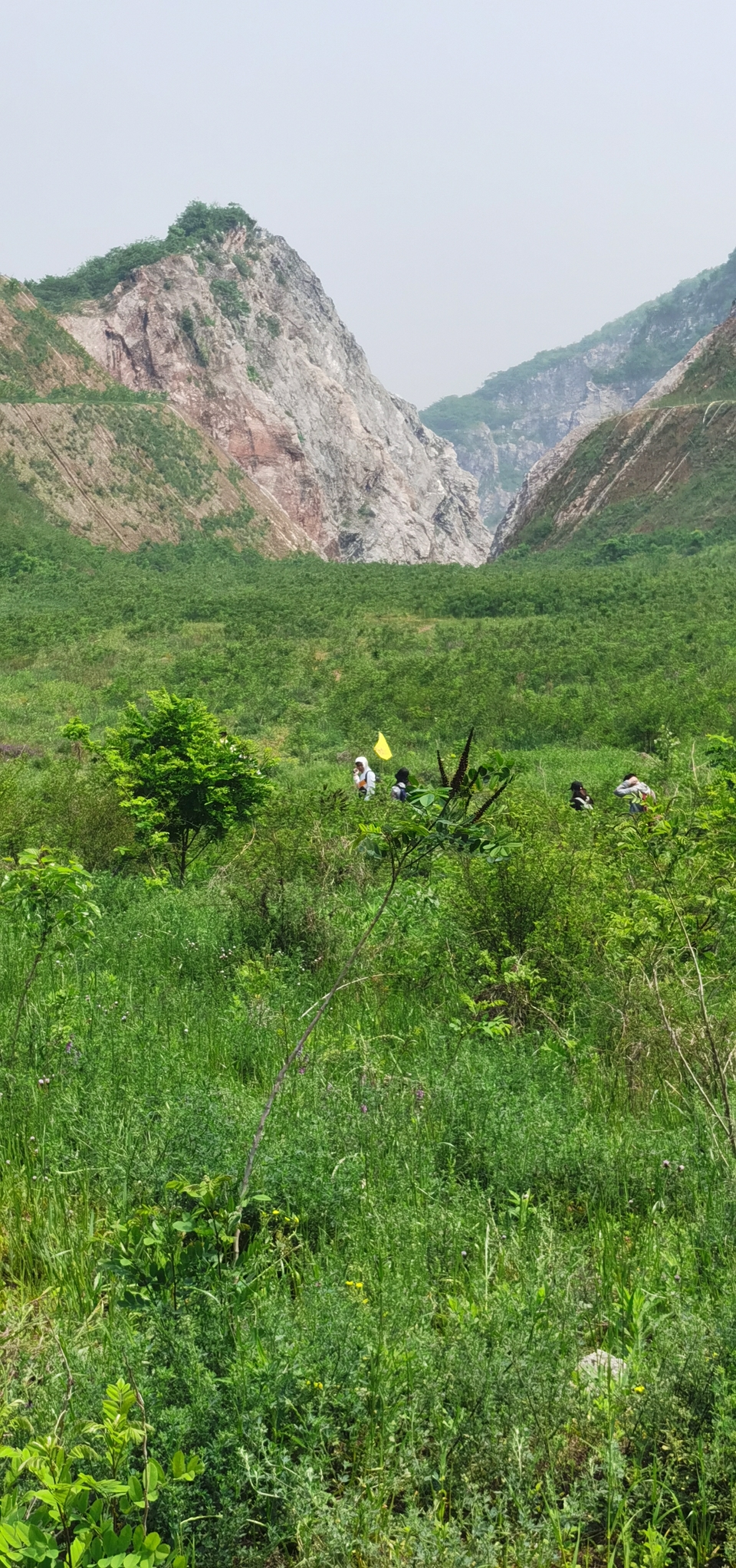 微信图片_20220504133534