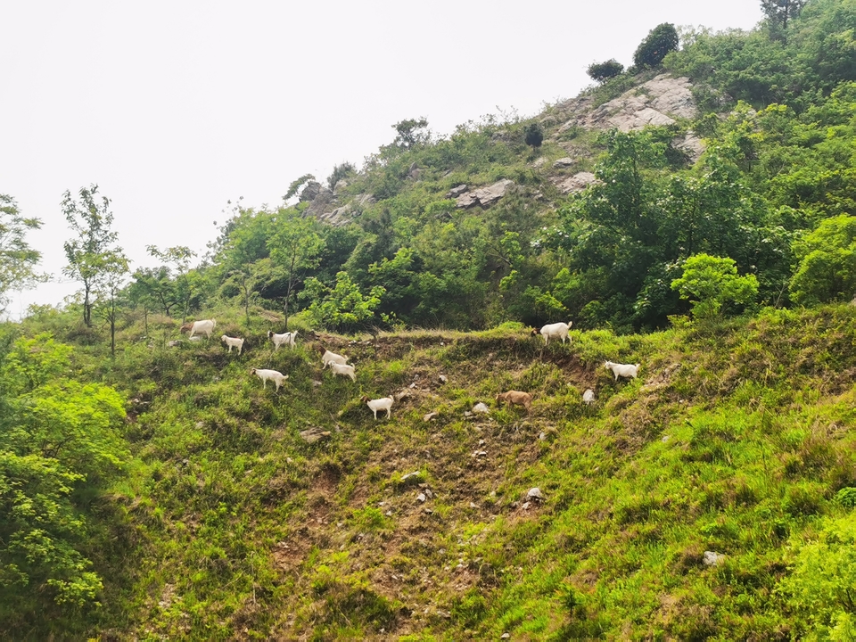 微信图片_20220504133558