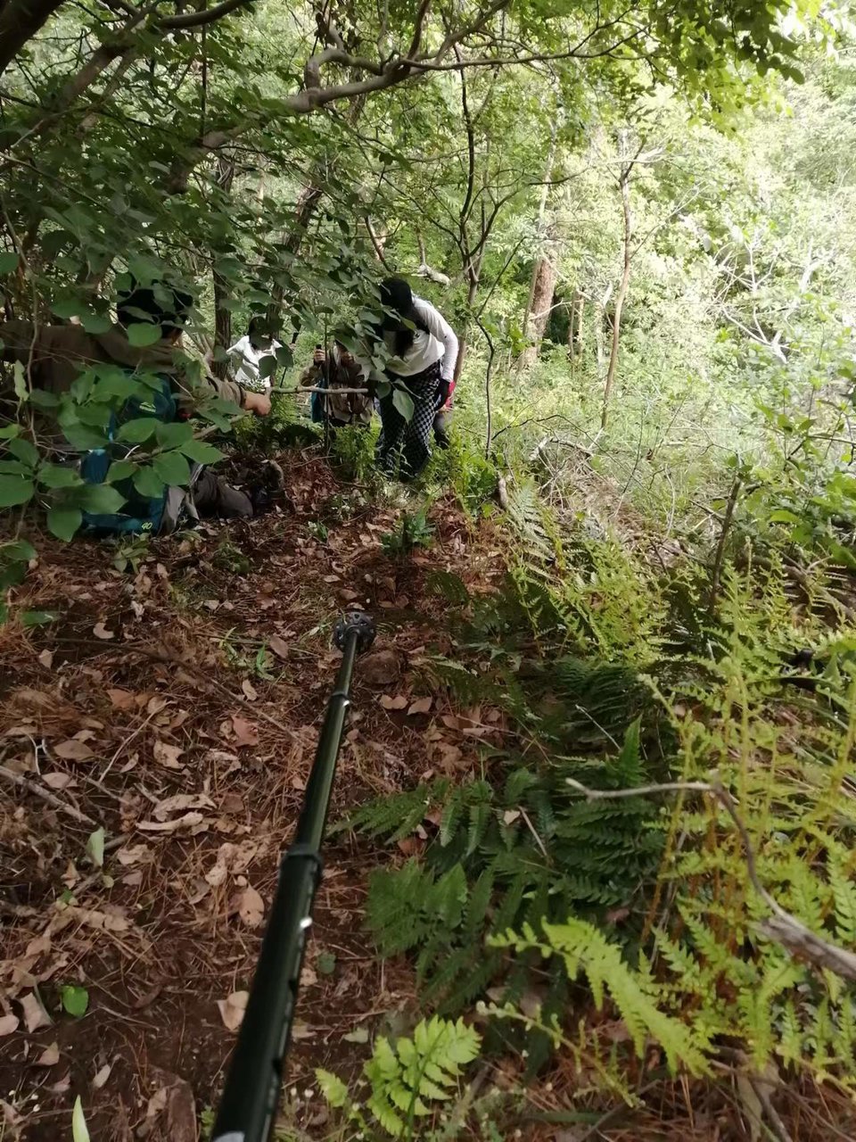 微信图片_20220504133613