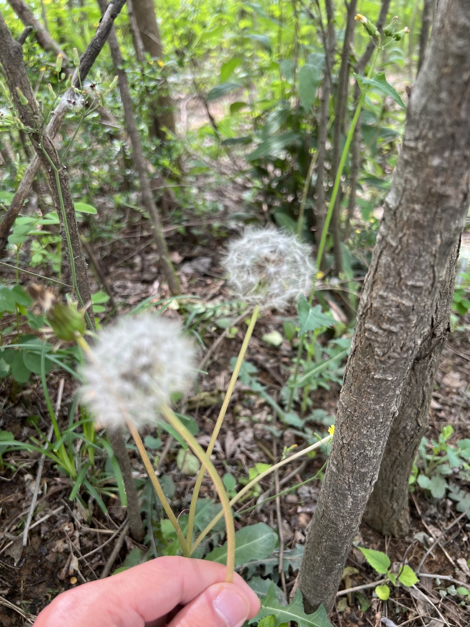 微信图片_20220504133652