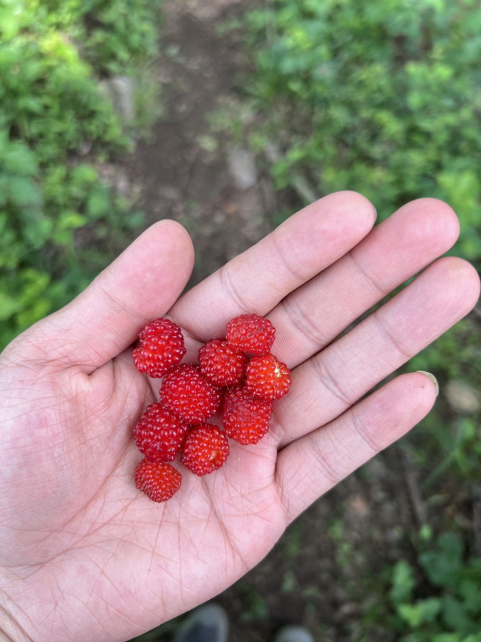 微信图片_20220504133702