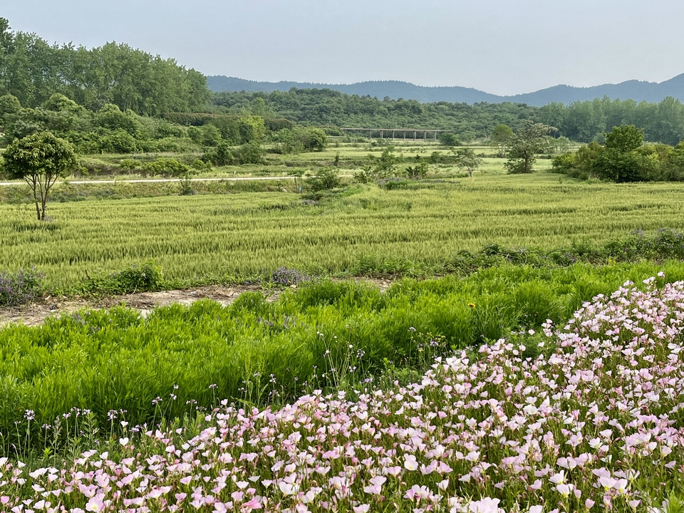 微信图片_20220504133707