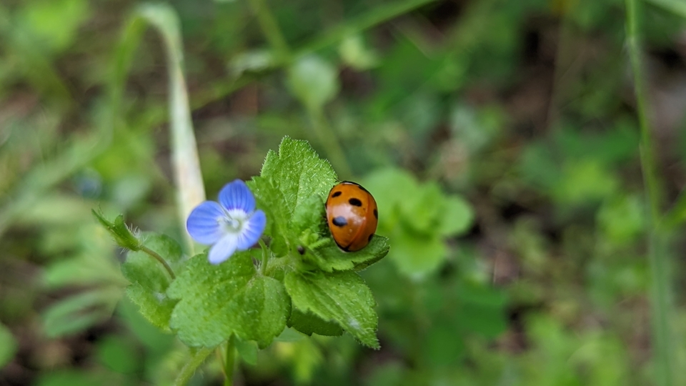 微信图片_20220504133742