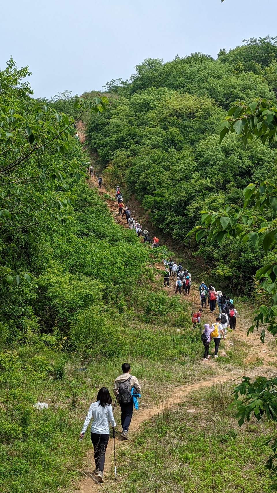 微信图片_20220504133928