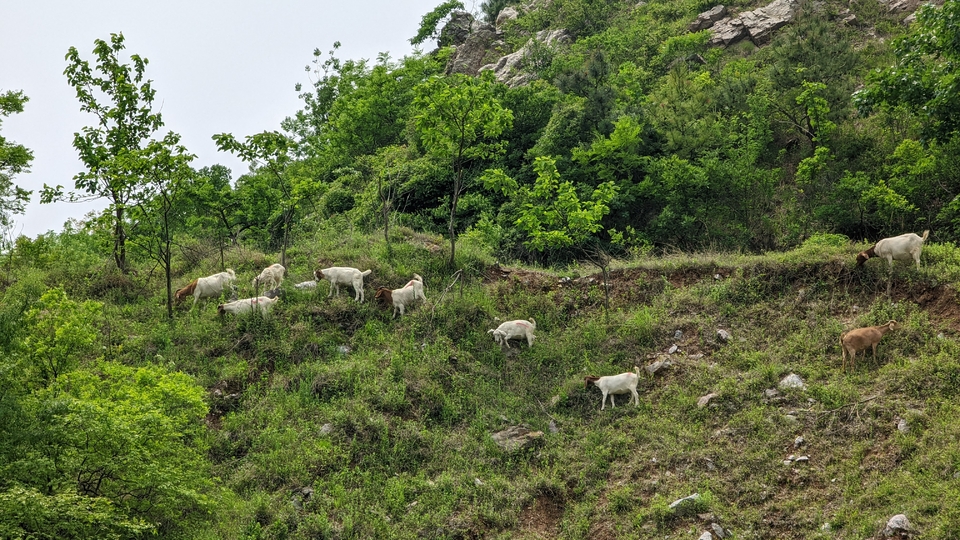 微信图片_20220504133951