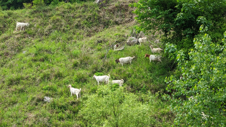 微信图片_20220504133956