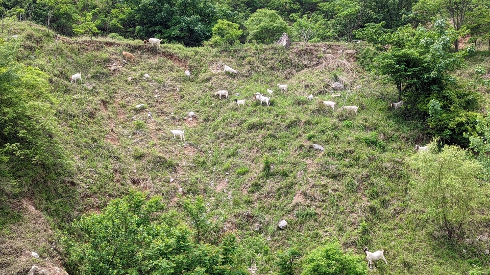 微信图片_20220504134017