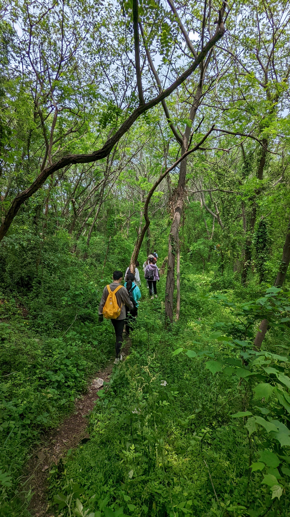 微信图片_20220504134028