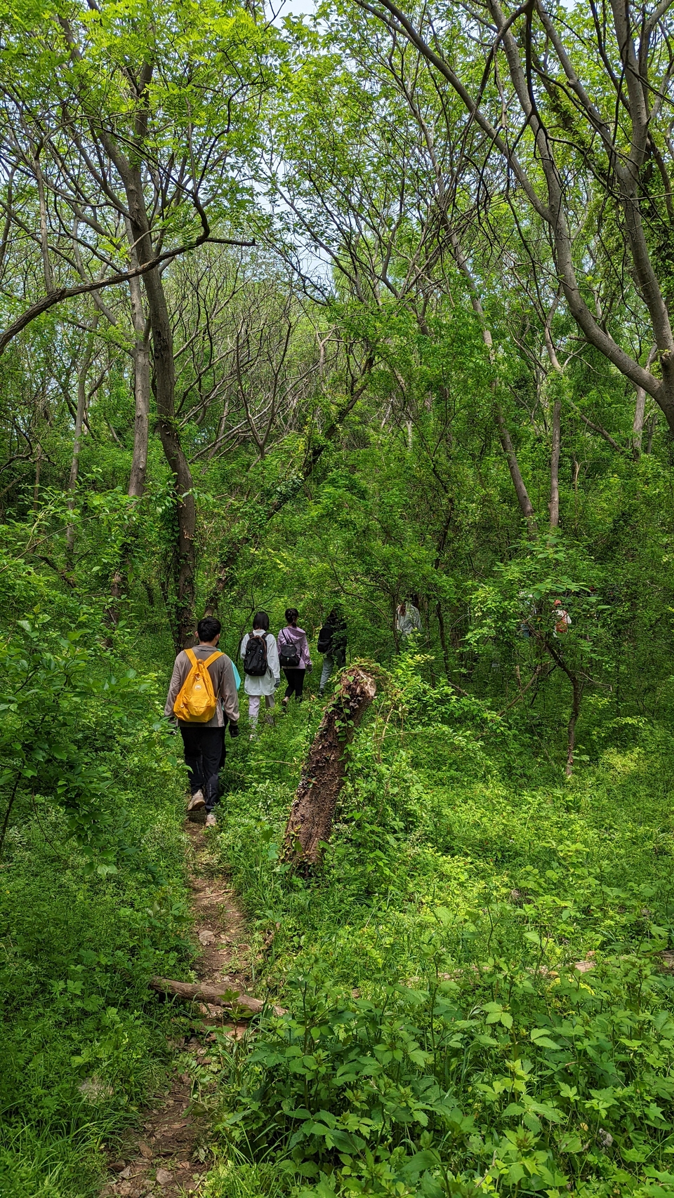 微信图片_20220504134032