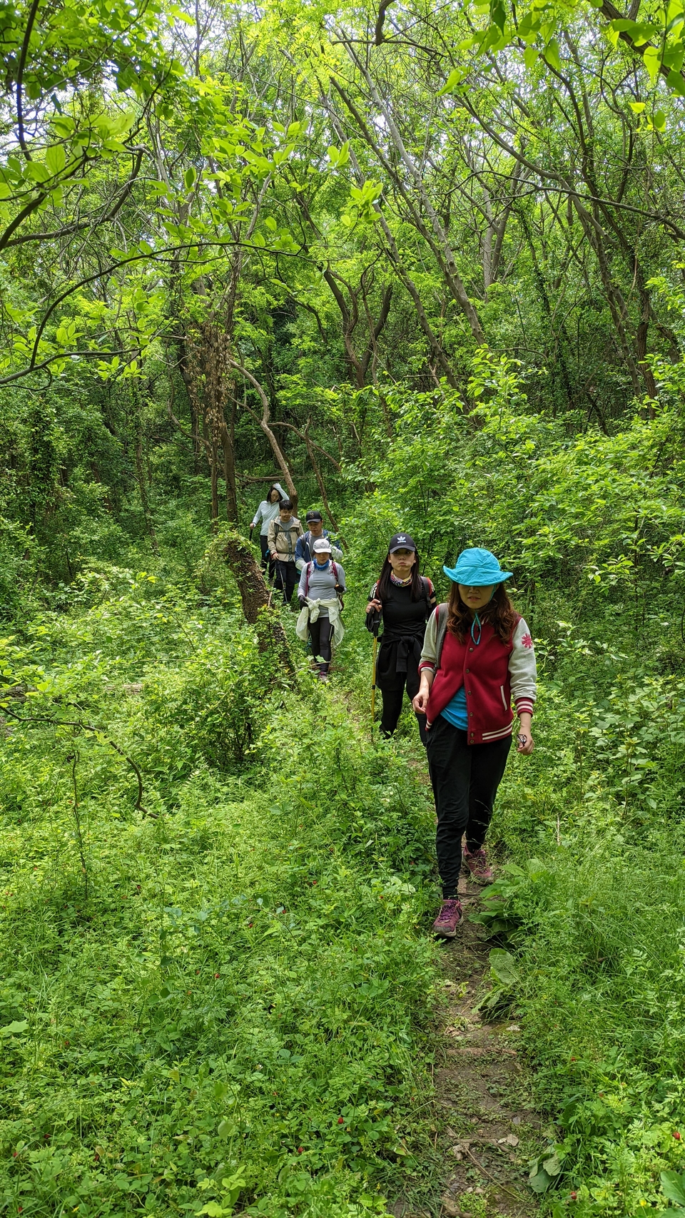 微信图片_20220504134036