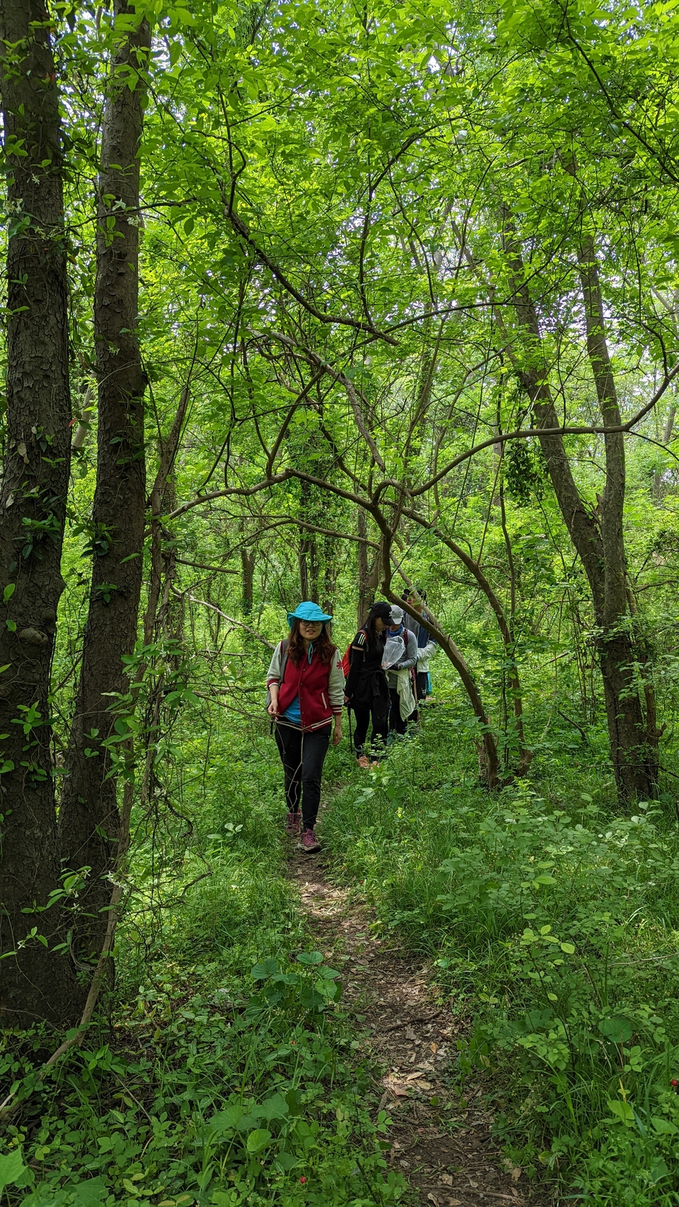 微信图片_20220504134041