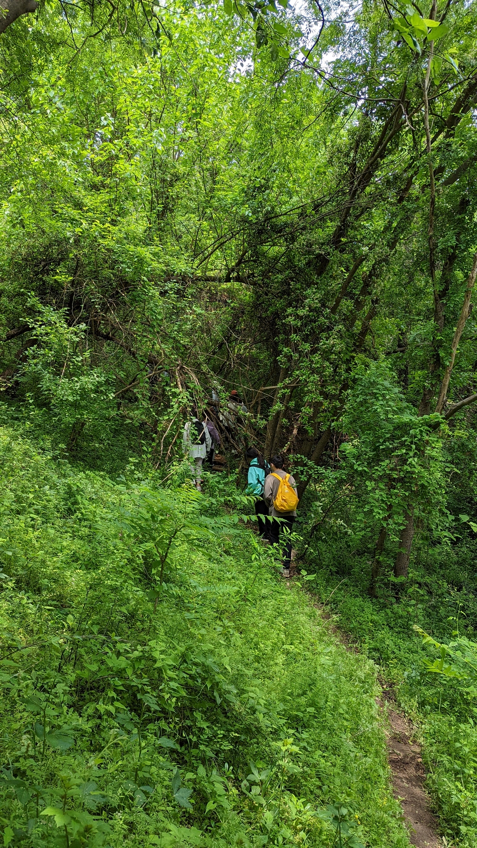 微信图片_20220504134055