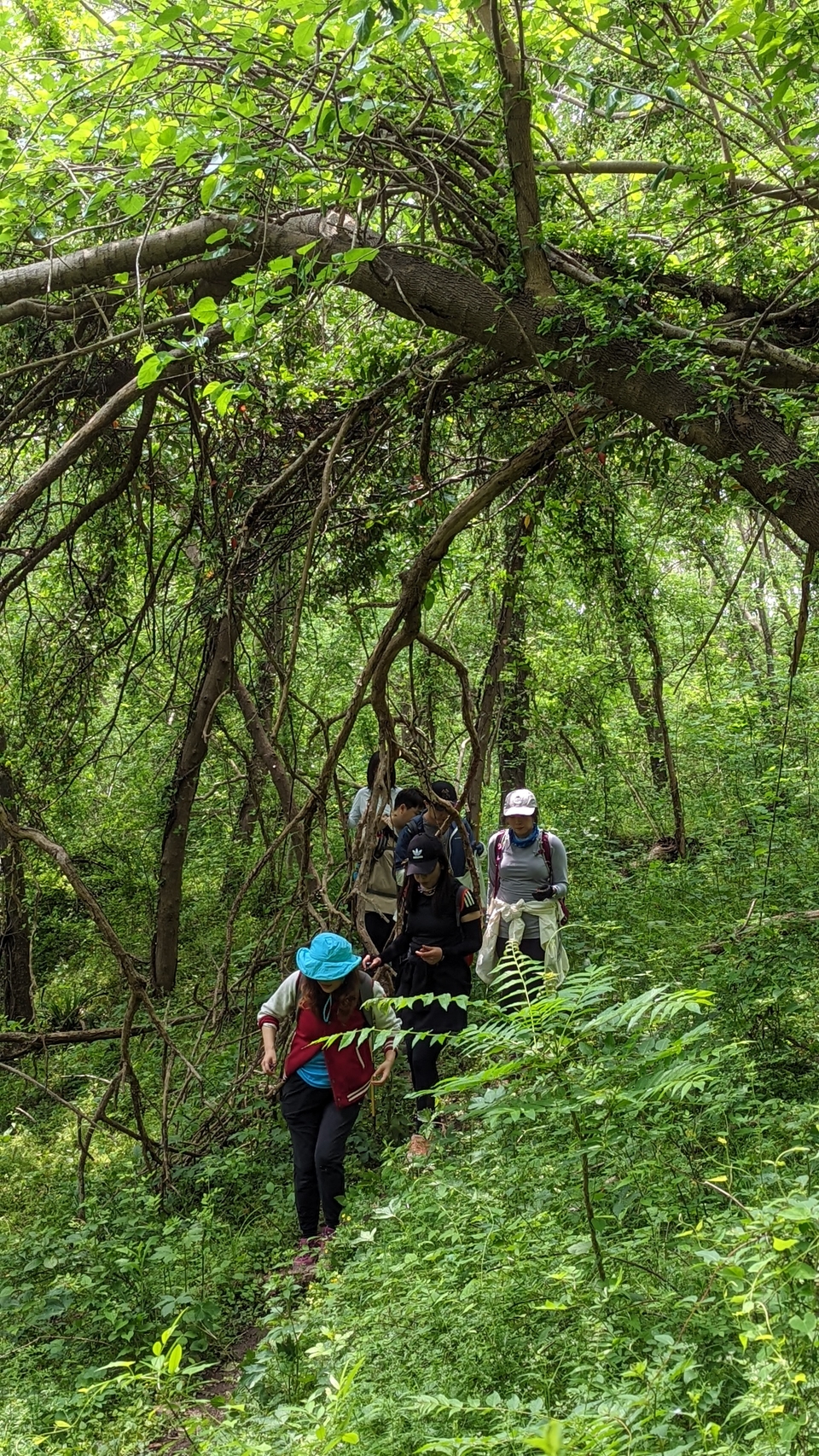 微信图片_20220504134100