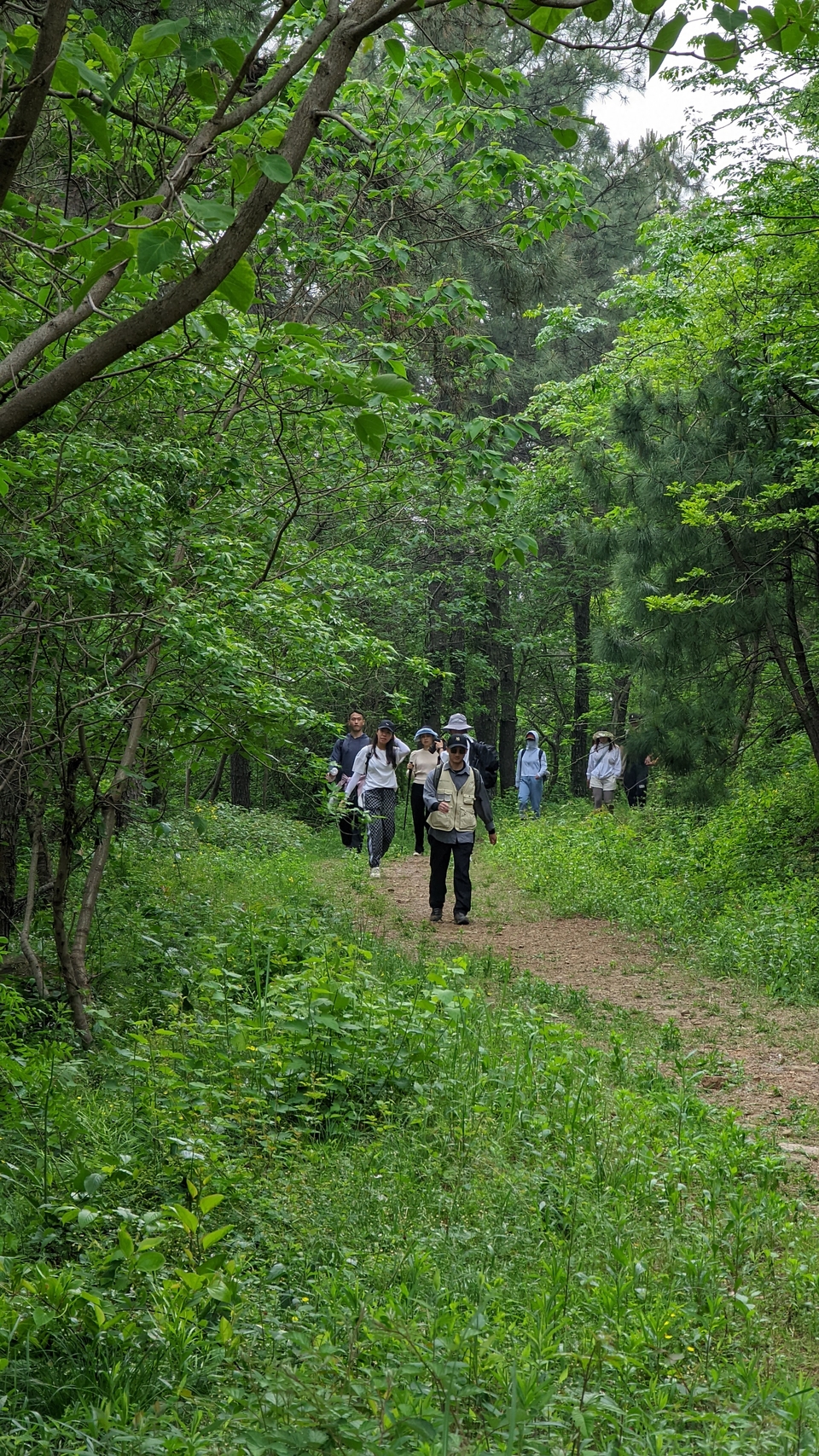 微信图片_20220504134108