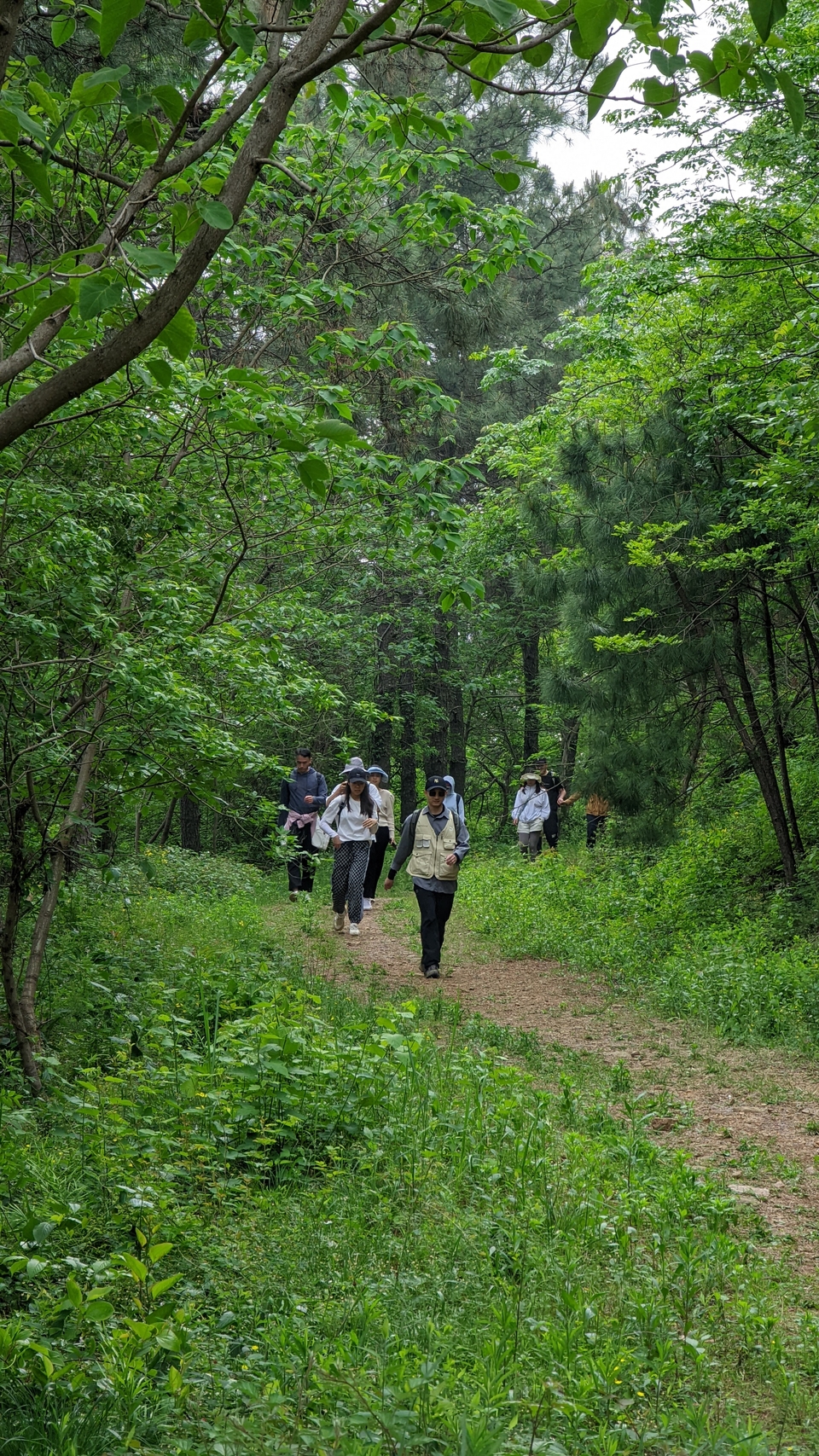 微信图片_20220504134114