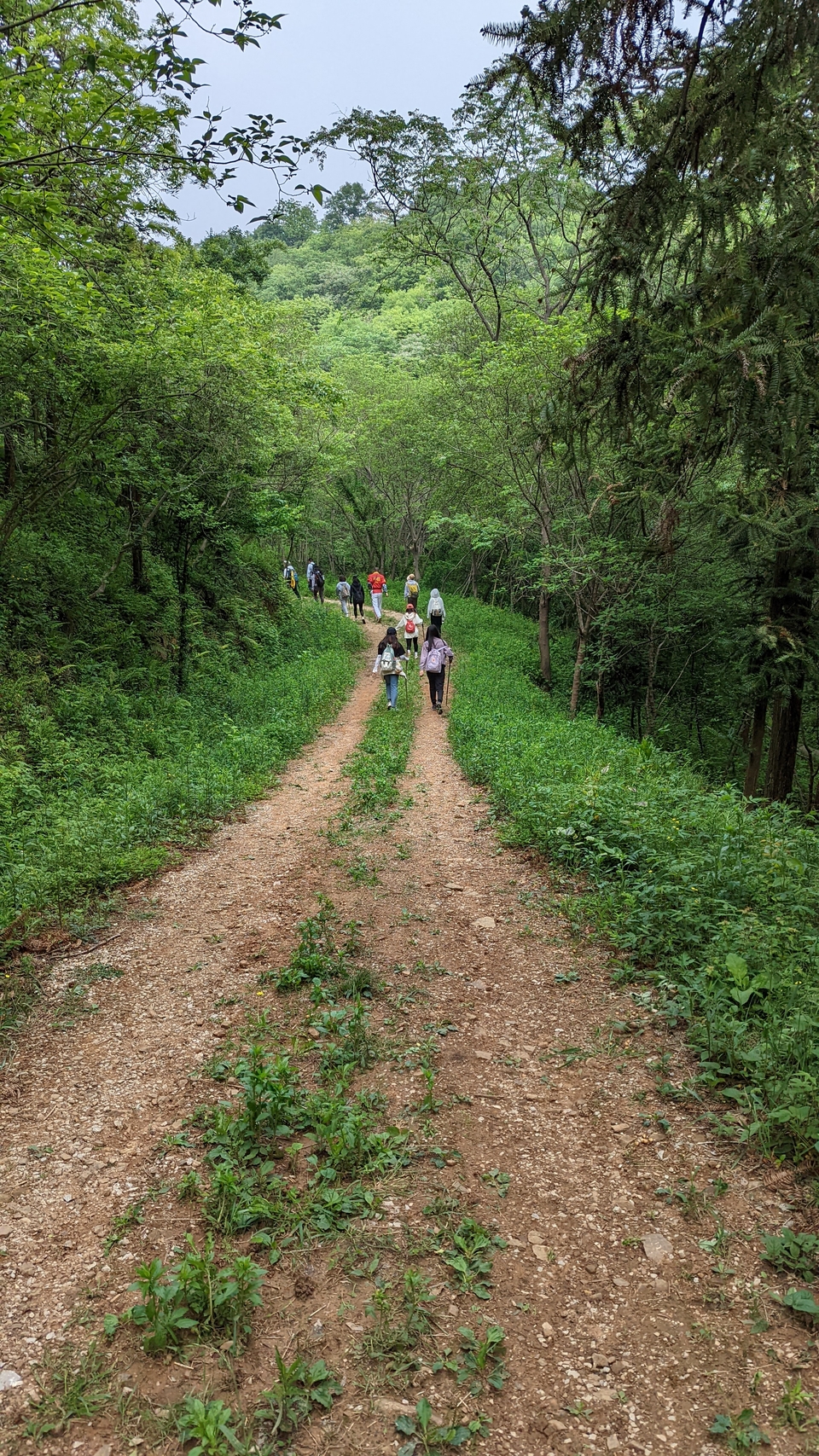 微信图片_20220504134119