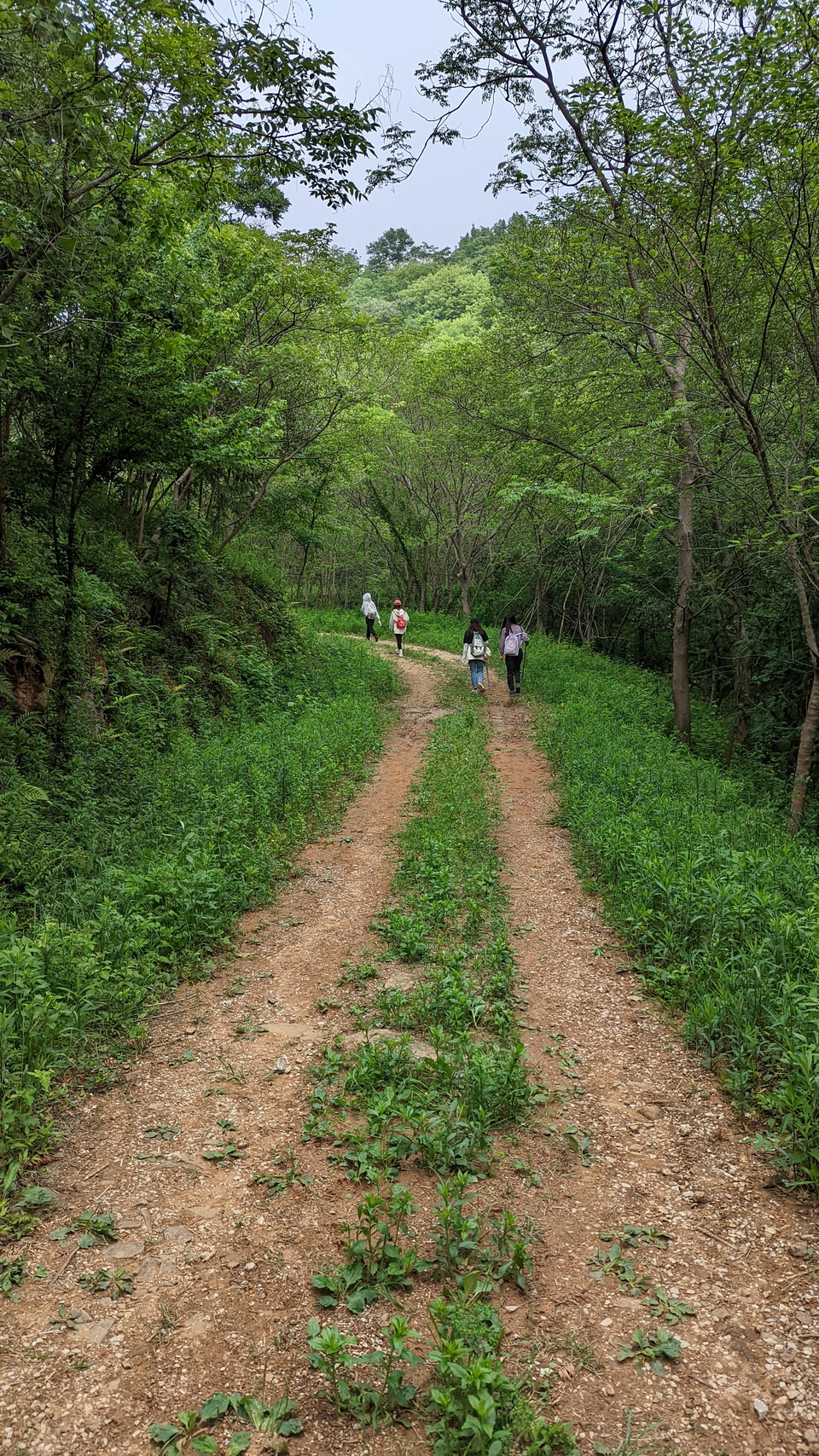 微信图片_20220504134123