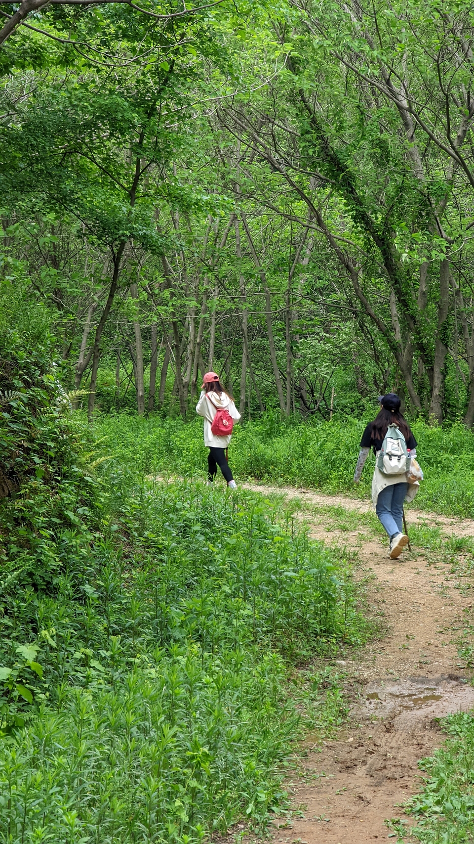 微信图片_20220504134128