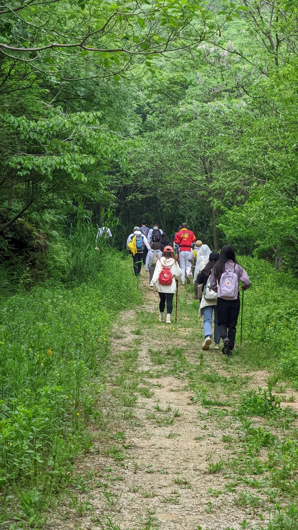 微信图片_20220504134131