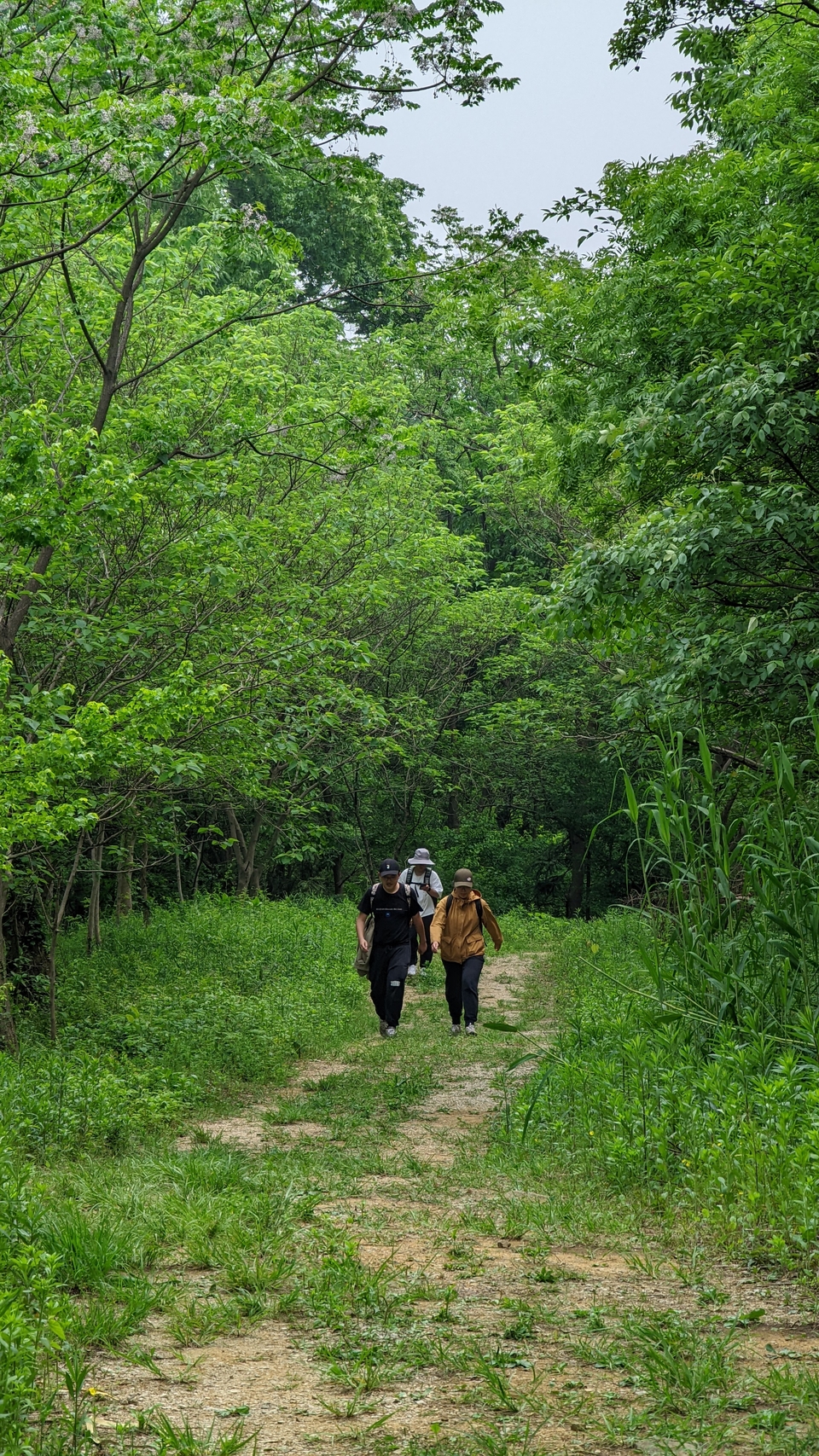 微信图片_20220504134144