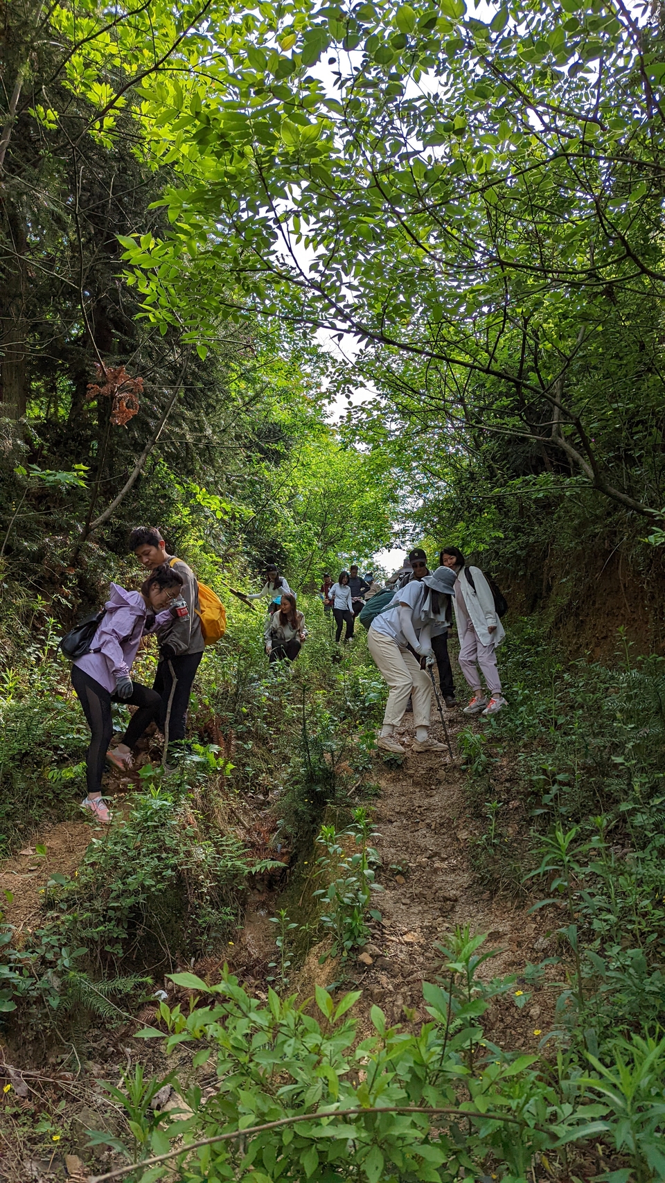 微信图片_20220504134155