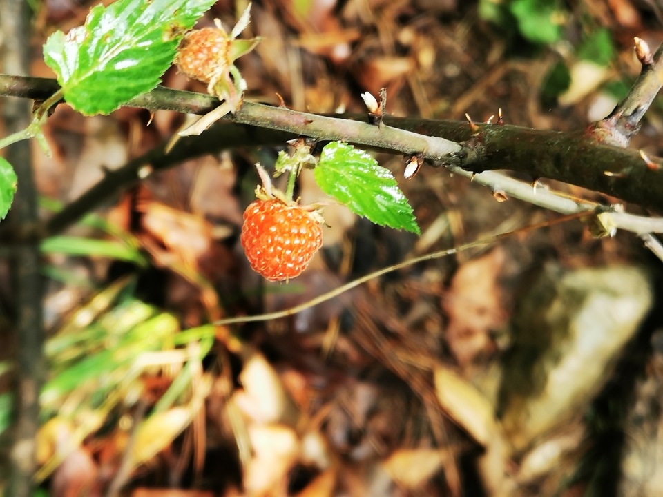 微信图片_20220505135324