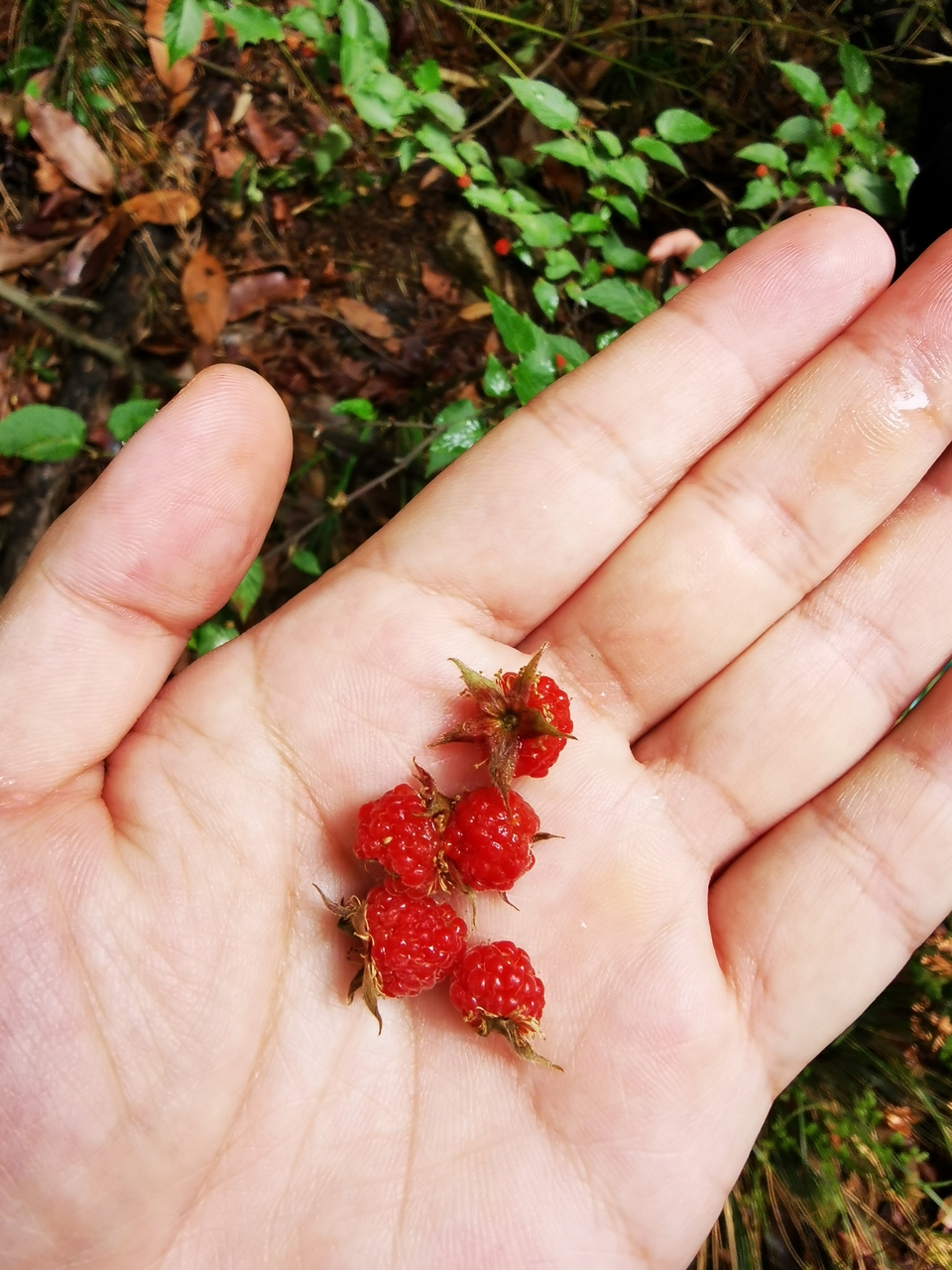 微信图片_20220505135339